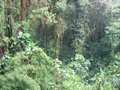 Img_3136.jpg